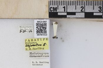 Media type: image;   Entomology 787212 Aspect: labels
